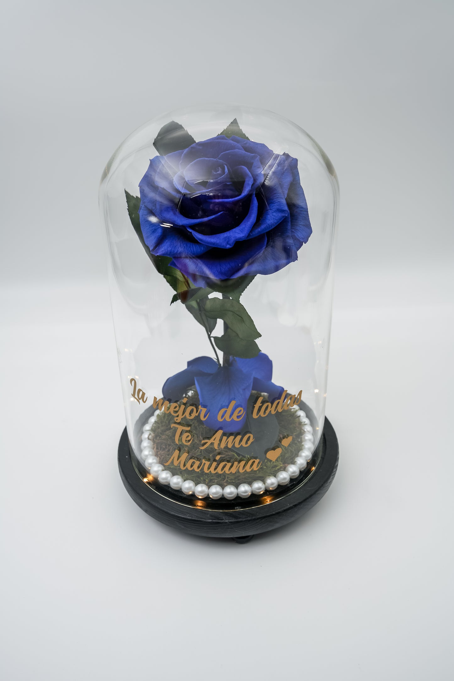 Beauty & The Beast LED Glass Dome